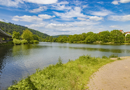 Mündung der Tauber in den Main