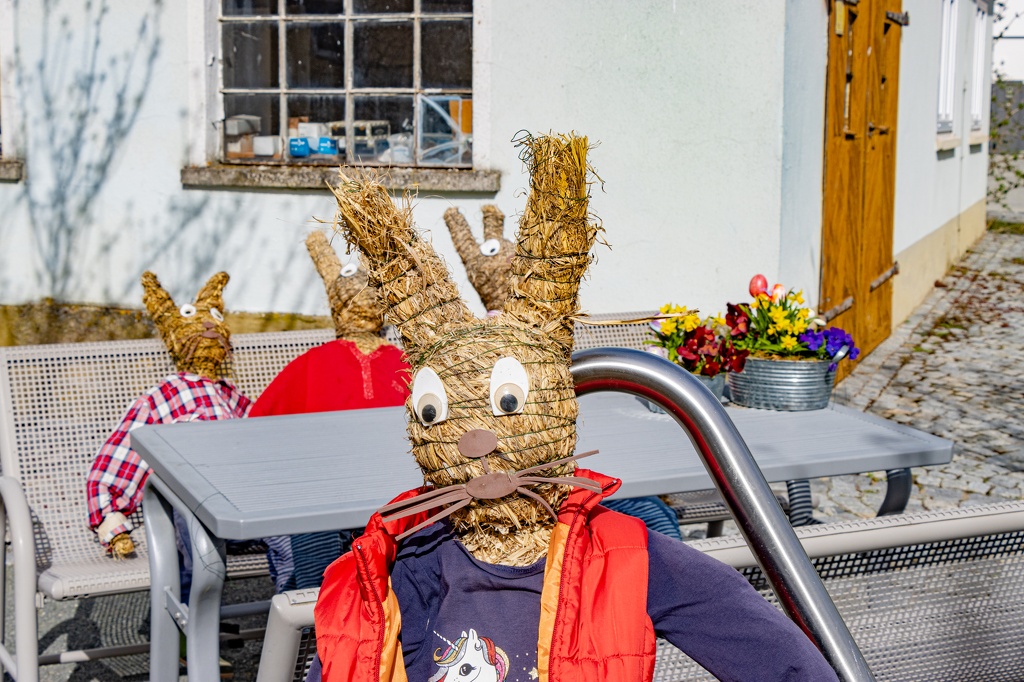 _MG_8341.jpg