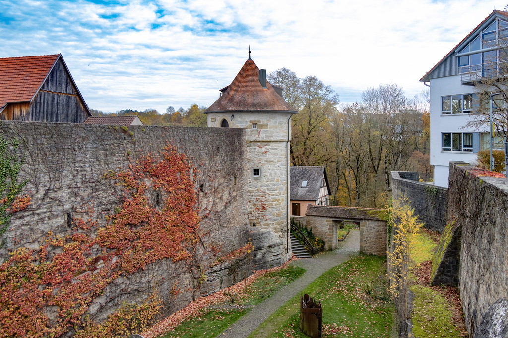 _MG_3396.jpg
