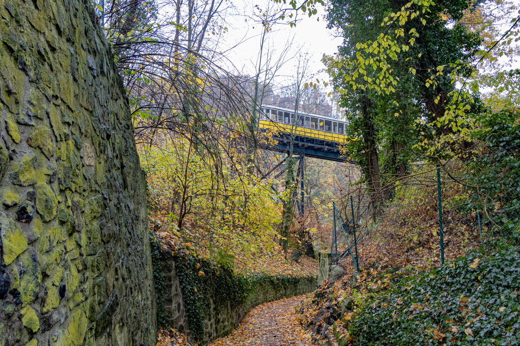 _MG_4094.jpg