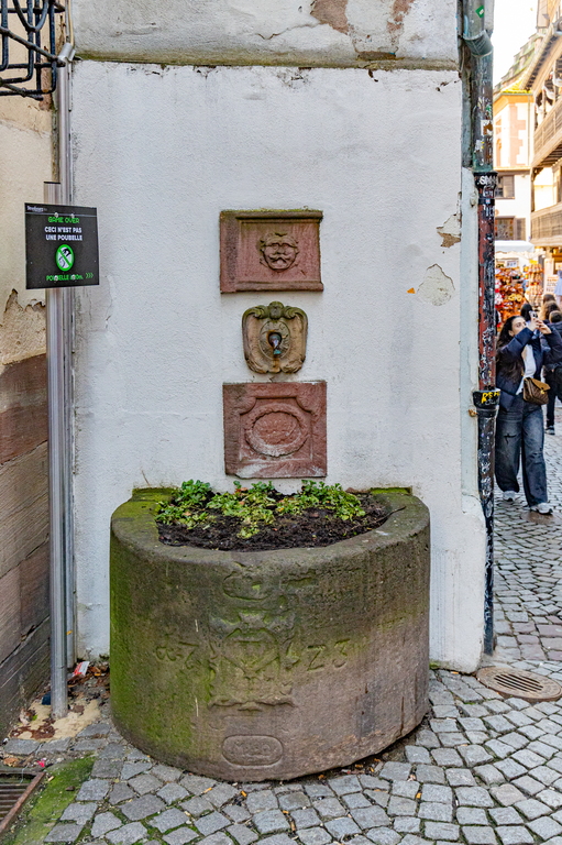 _P3A0262.jpg